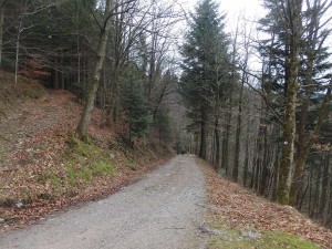 Bad Peterstal