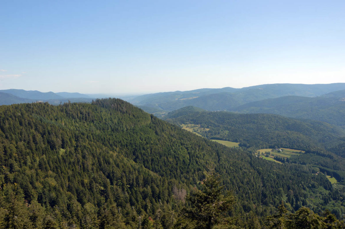 La Chatte Pendue et l'Etang du Coucou Alsarando