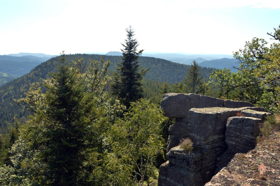 La Chatte Pendue et l'Etang du Coucou Alsarando