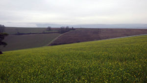 Le Kreuzbaeumel